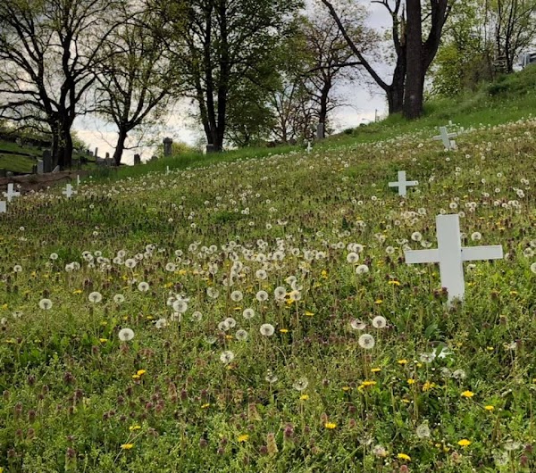 Green Hill Cemetery grounds