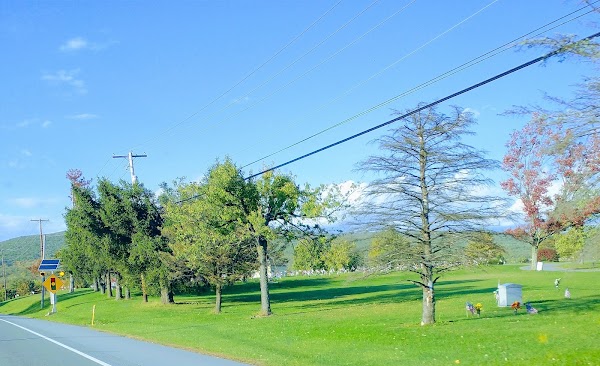 Green Lawn Memorial Park grounds