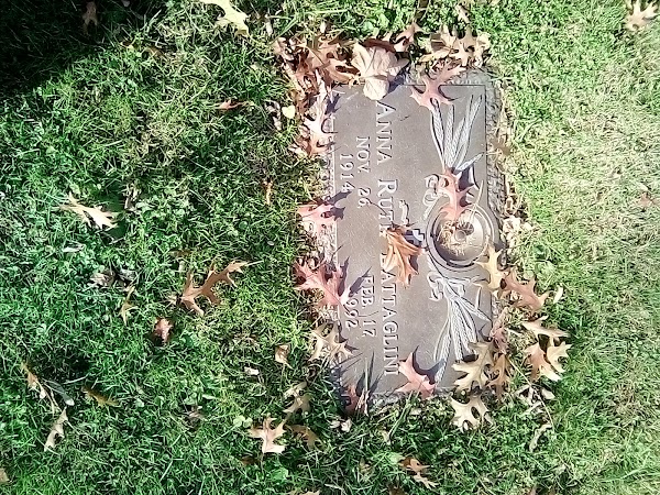 Greene County Memorial Park grounds