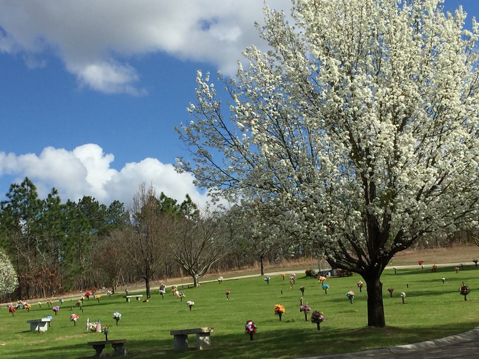 Greenhaven Memorial Gardens