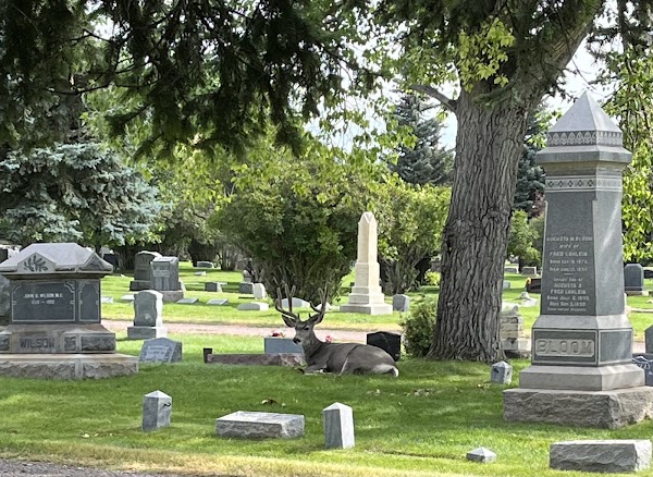 Greenhill Cemetery grounds