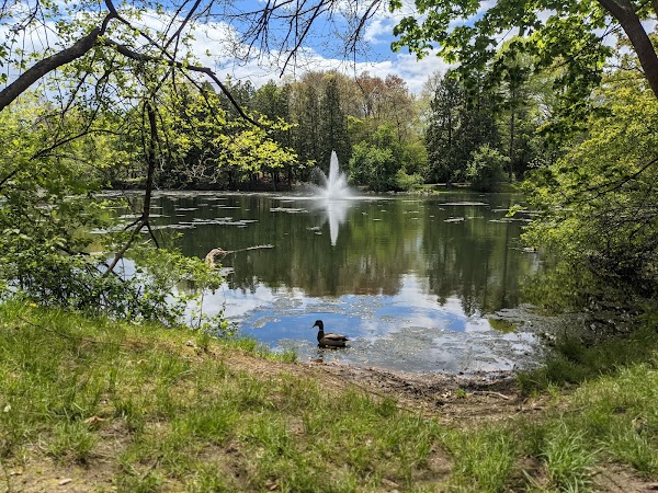 Greenlawn Cemetery grounds