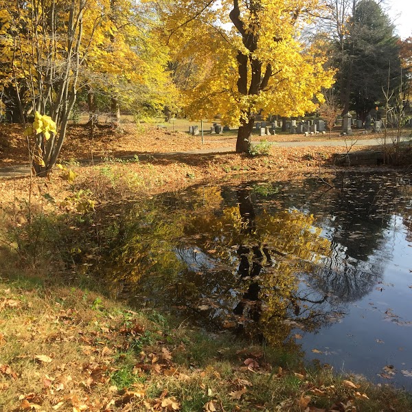 Greenlawn Cemetery grounds