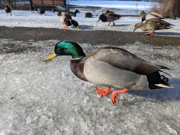 Greenlawn Cemetery grounds