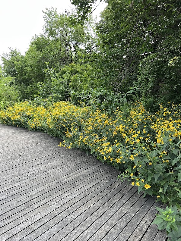 Greenway Botanical Garden at the Naval Cemetery grounds