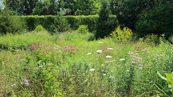 Greenway Botanical Garden at the Naval Cemetery grounds