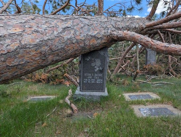 Greenwood Cemetery grounds