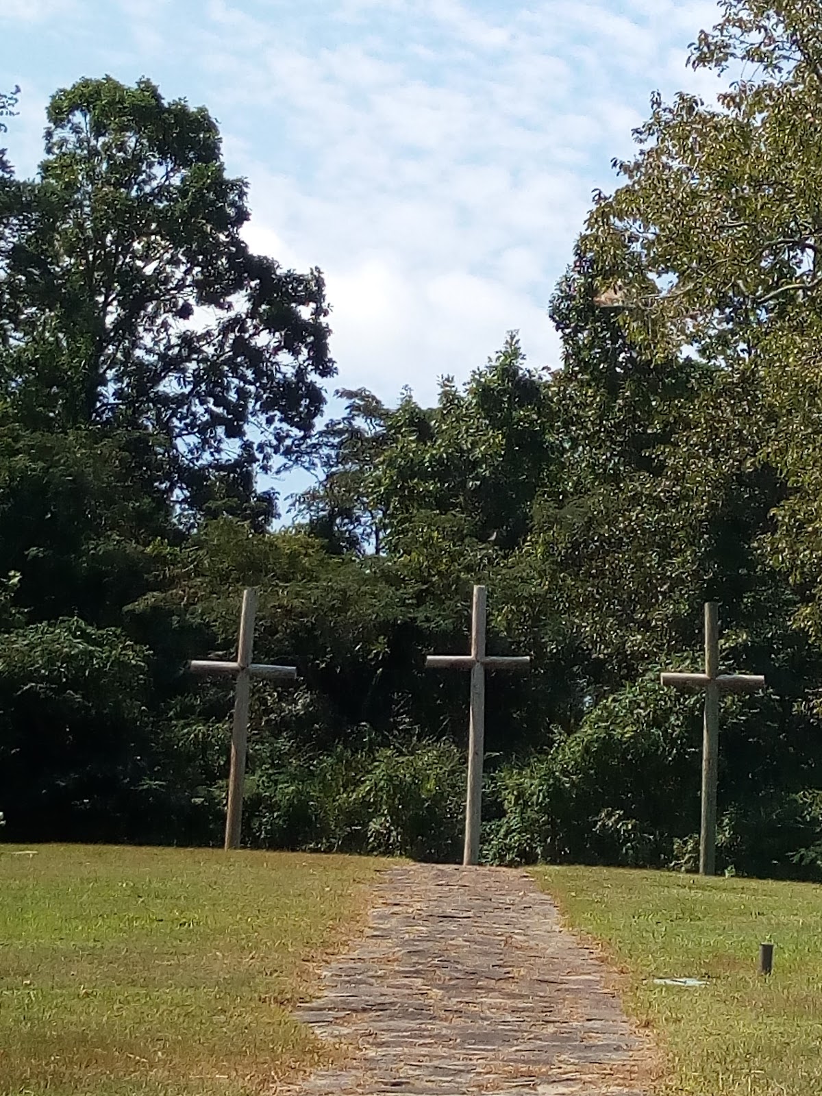 Greenwood Cemetery cemetery grounds and headstones