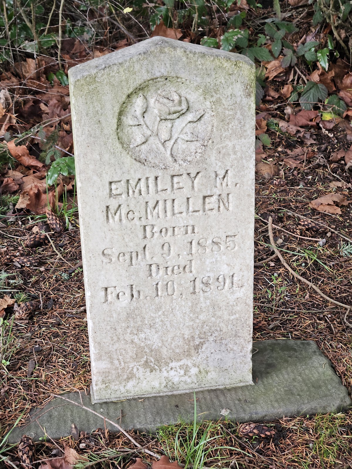 Greenwood Cemetery cemetery grounds and headstones