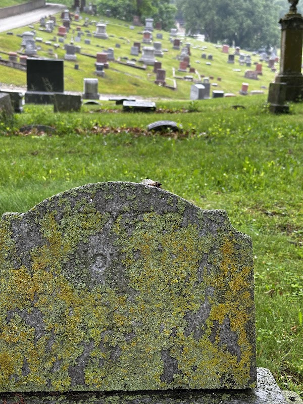 Greenwood Cemetery grounds