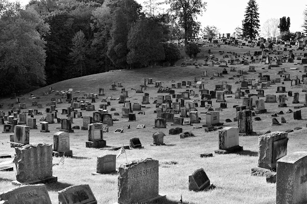 Greenwood Cemetery grounds