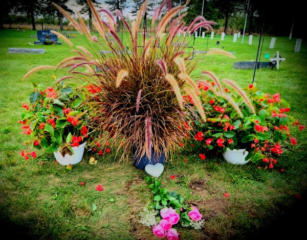 Greenwood Cemetery grounds