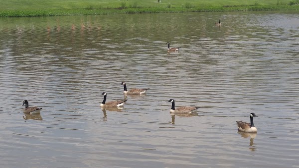 Greenwood Memorial Gardens grounds