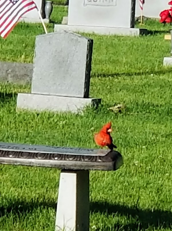 Grove City Cemetery grounds