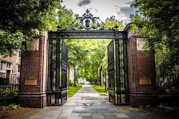 Grove St Cemetery grounds