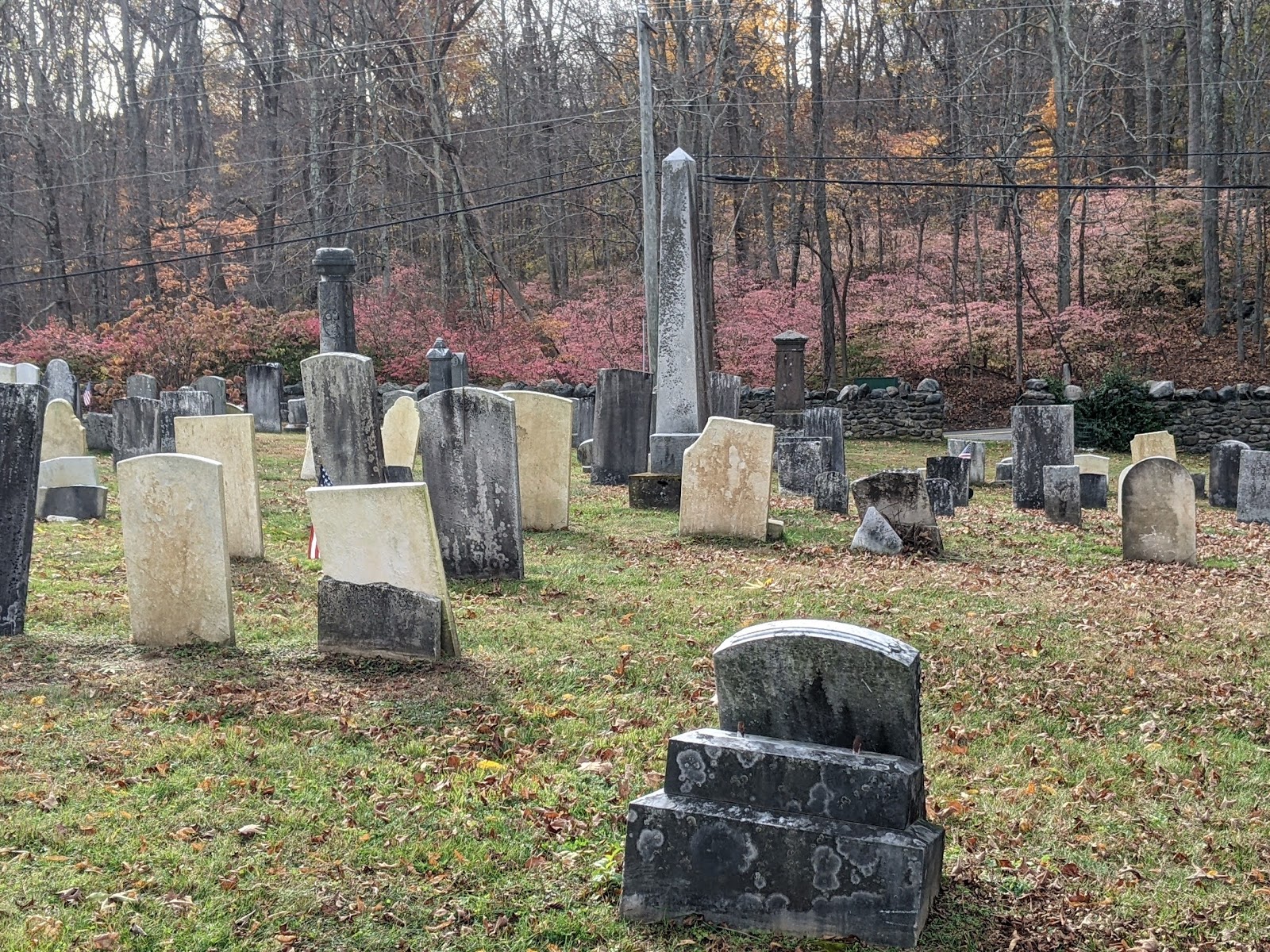 Gunntown Cemetery cemetery grounds and headstones