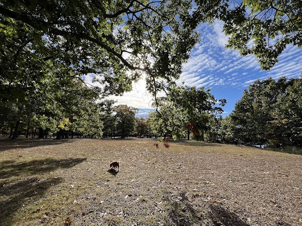 Haines Memorial Park grounds