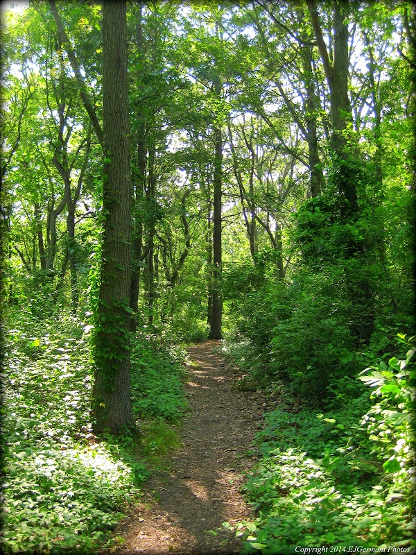 Haines Memorial State Park grounds