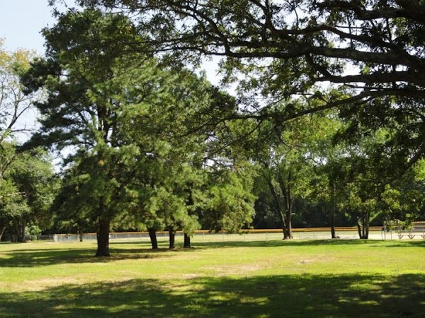 Haines Memorial State Park grounds