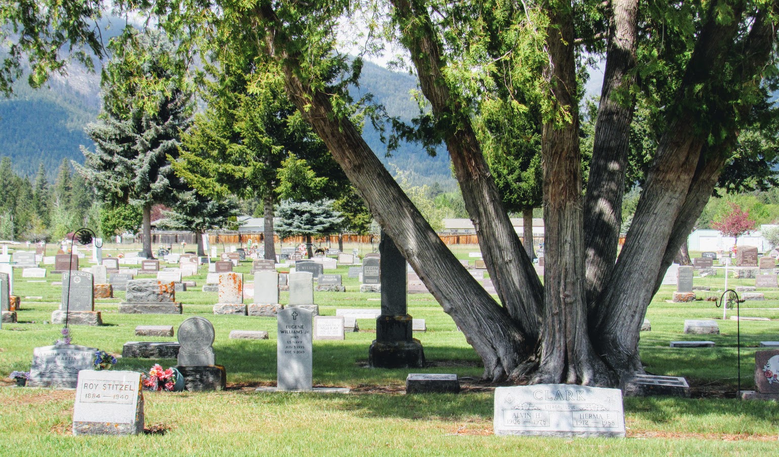 Hamilton Riverview Cemetery cemetery grounds and headstones