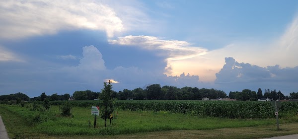 Hampton Cemetery grounds
