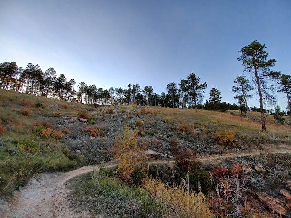 Hanson-Larsen Memorial Park grounds
