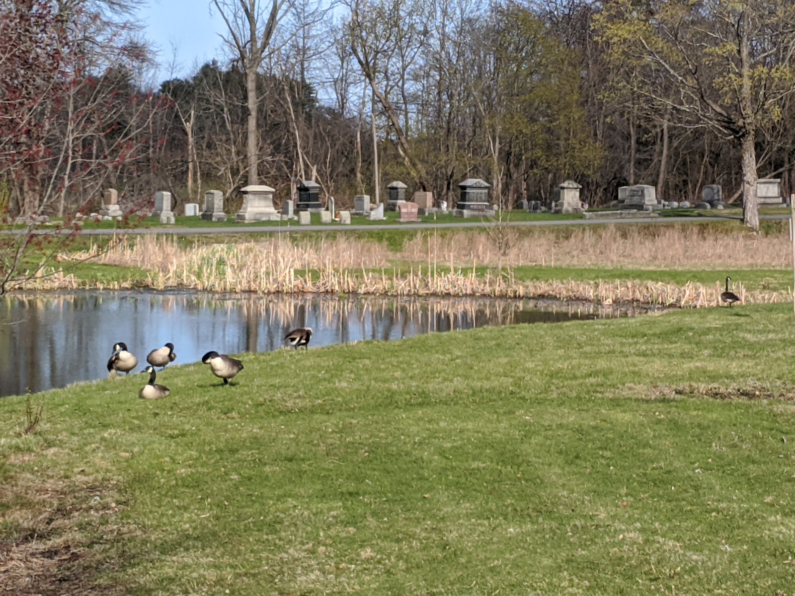 Harmony Grove Cemetery cemetery grounds and headstones
