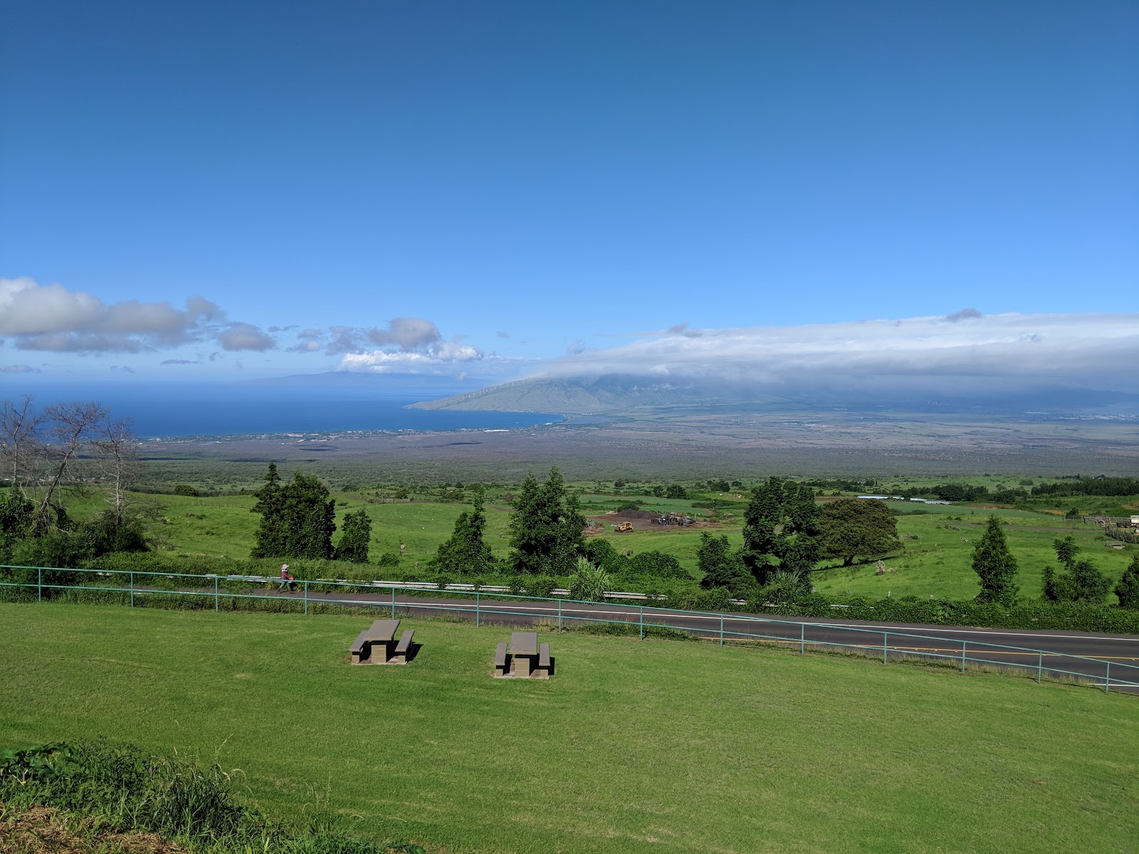 Harold W Rice Memorial Park cemetery grounds and headstones