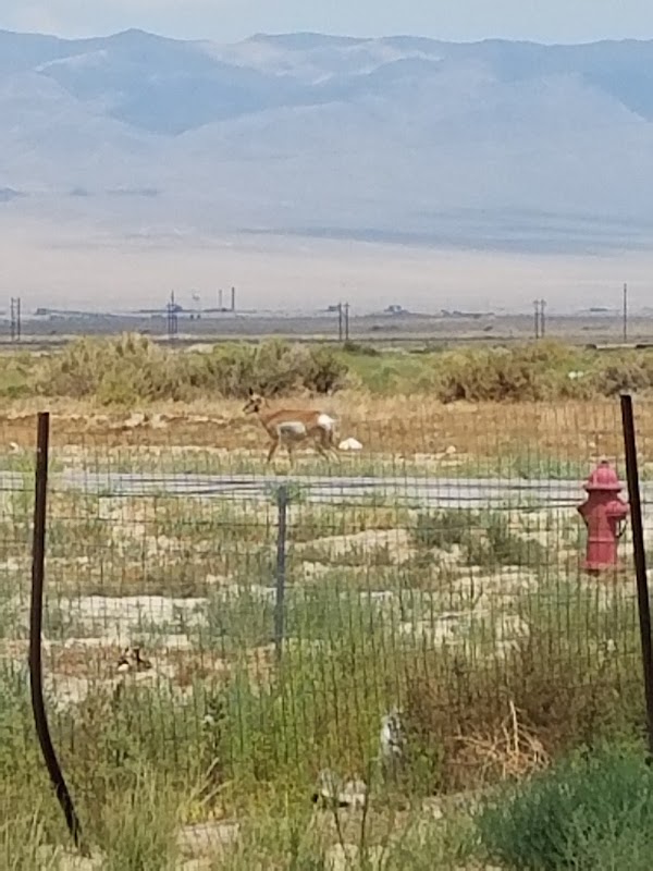 Hawthorne City Cemetery grounds
