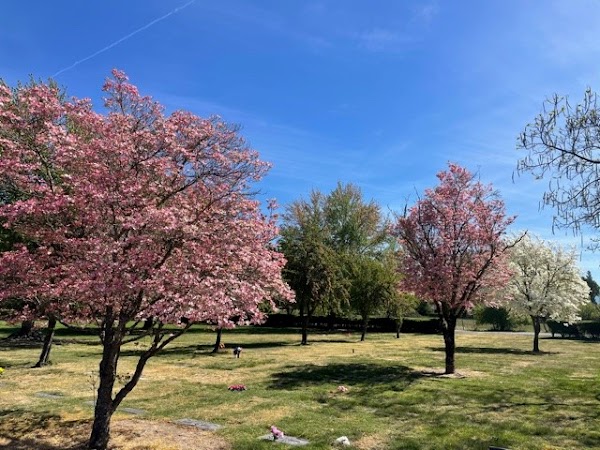 Hawthorne Memorial Gardens grounds