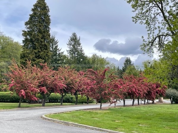 Hawthorne Memorial Gardens grounds