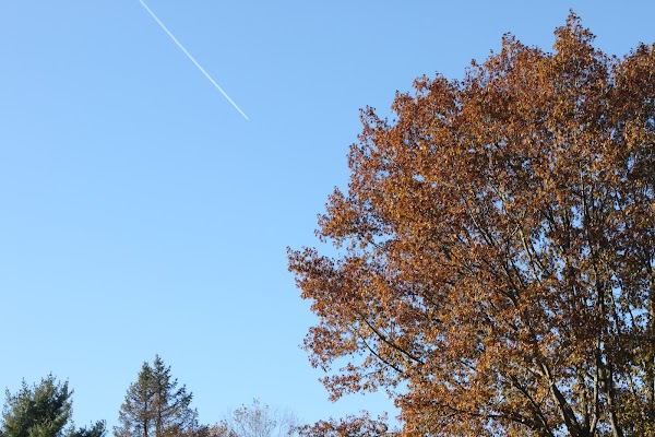 Haym Salomon Memorial Park grounds