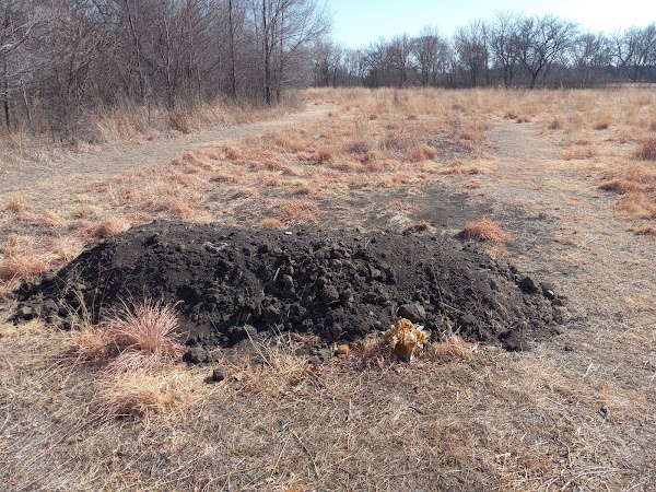 Heart Land Prairie Cemetery grounds