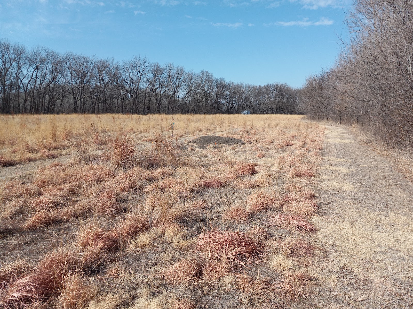 Heart Land Prairie Cemetery headstone and grounds