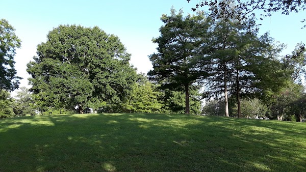Heymann Memorial Park grounds