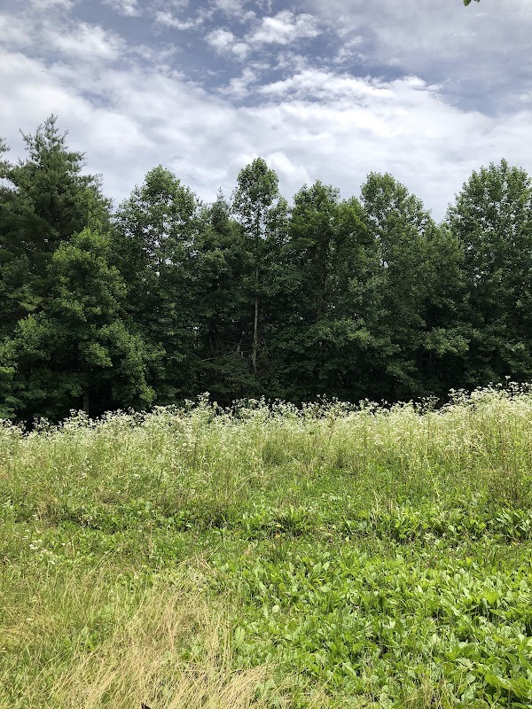 Hickory Flatts Cemetery grounds