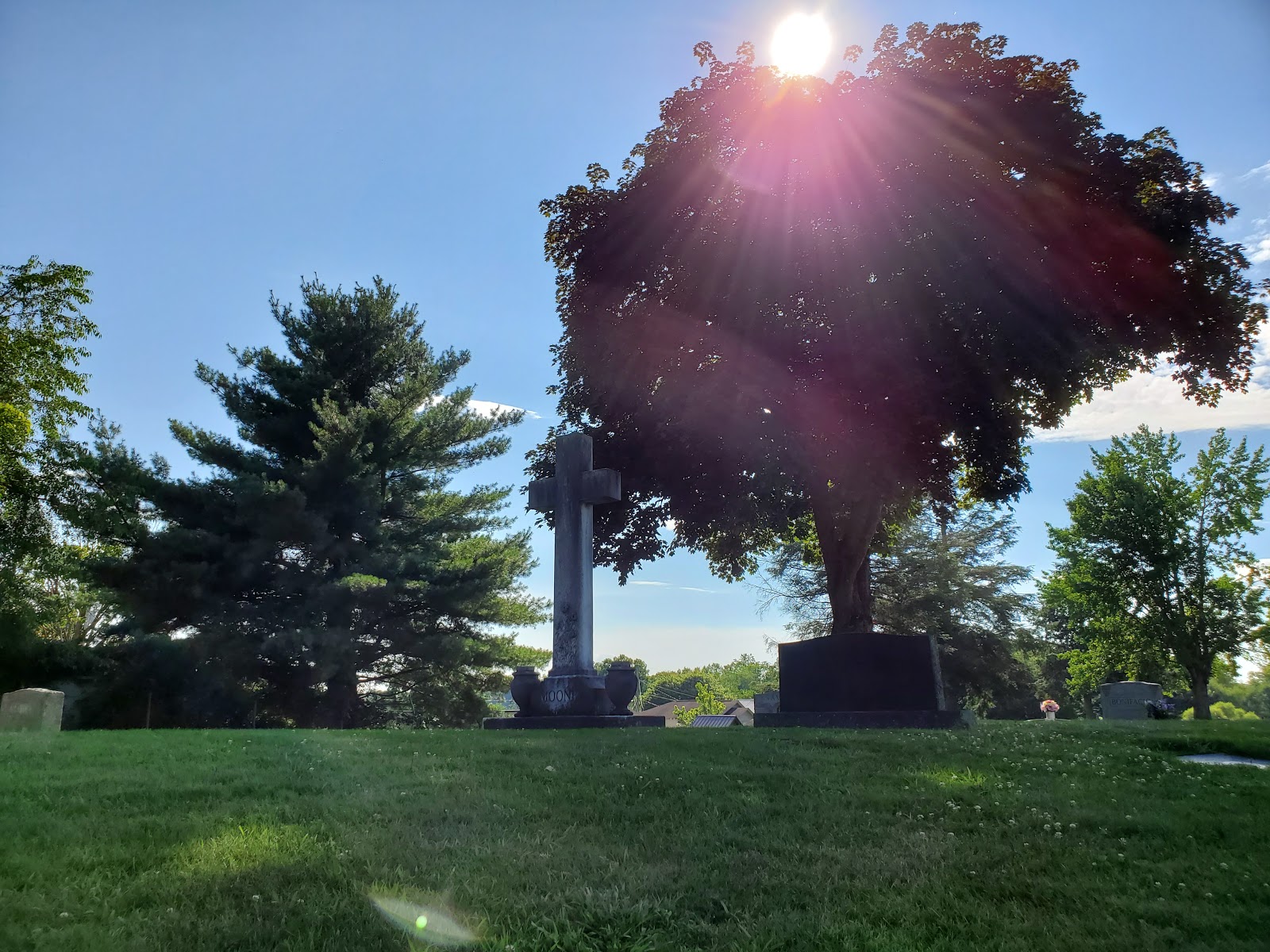 High Lawn Memorial Park cemetery grounds and headstones