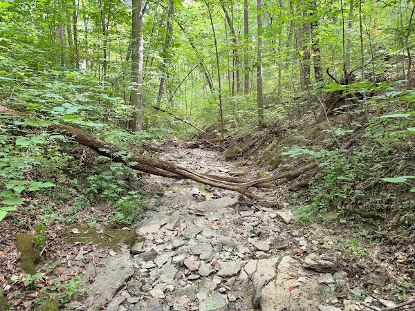 Highland Cemetery grounds