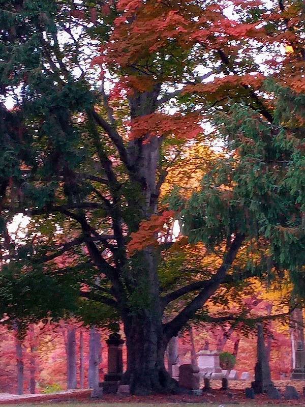 Highland Cemetery grounds