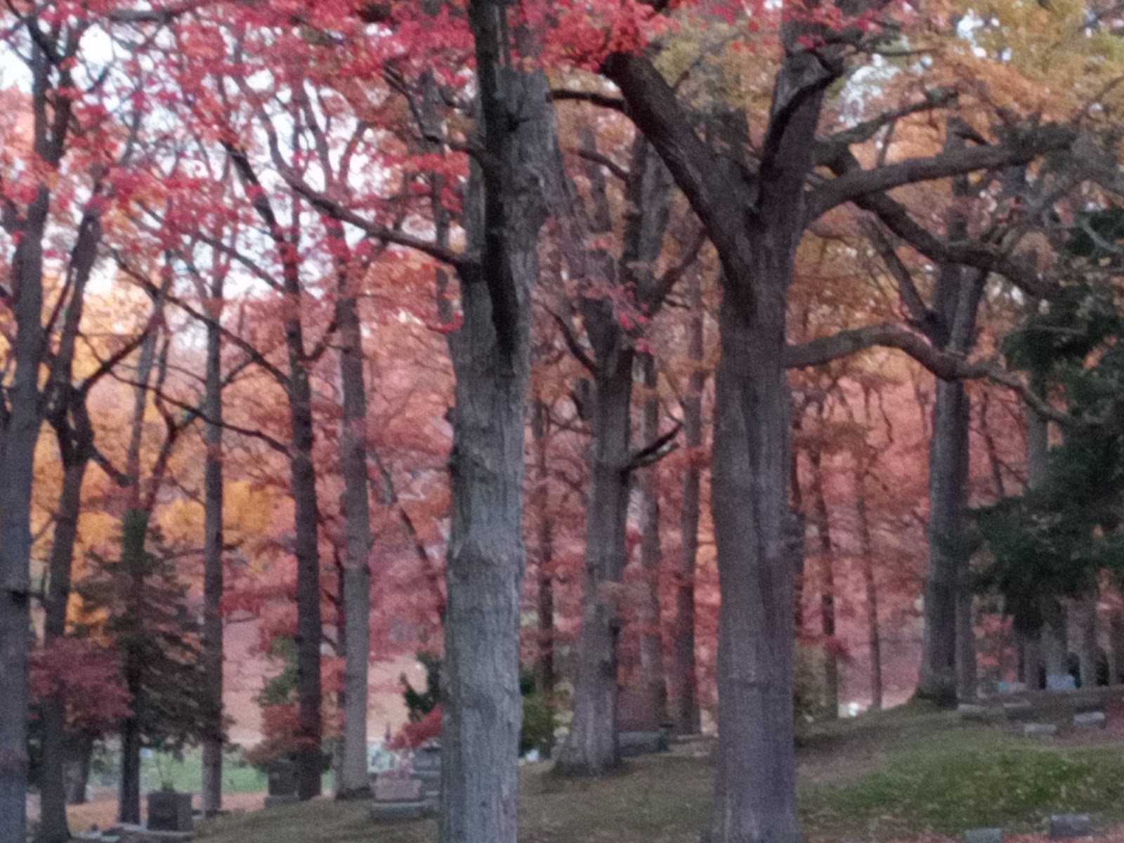 Highland Cemetery cemetery grounds and headstones