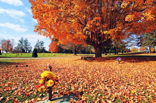 Highland Memory Gardens grounds