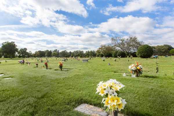 Hillcrest Memorial Park cemetery grounds and headstones