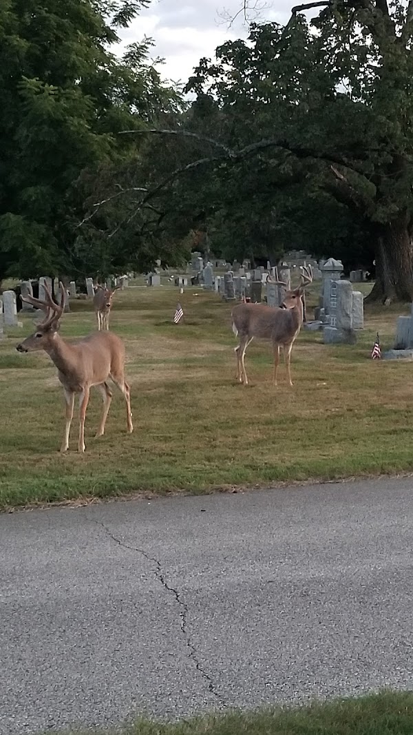 Hillside Cemetery grounds