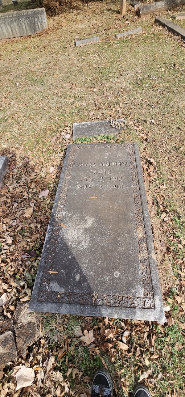 Historic Elmwood Pinewood Cemetery grounds