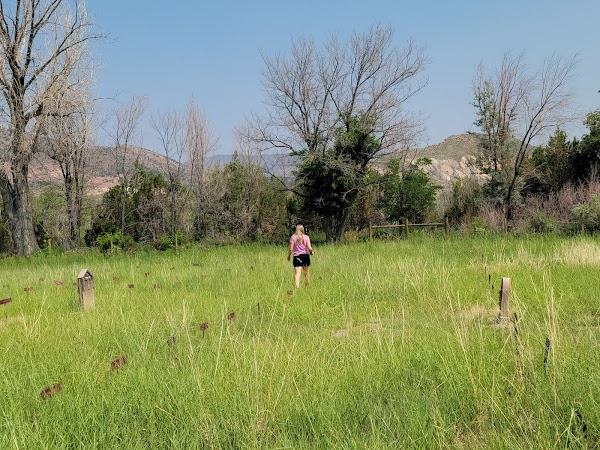 Historic Greenwood Cemetery records grounds