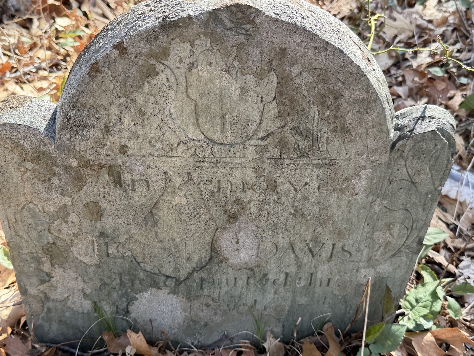 Historical Cemetery #31 cemetery grounds and headstones