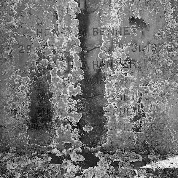 Holly Springs Cemeteries grounds