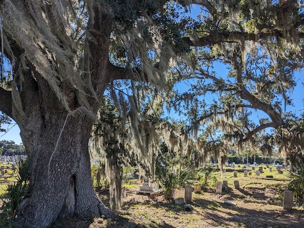 Holt Cemetery grounds