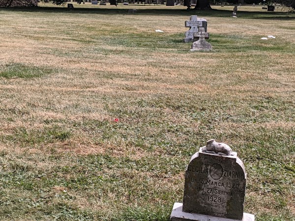 Holy Cross Cemetery grounds