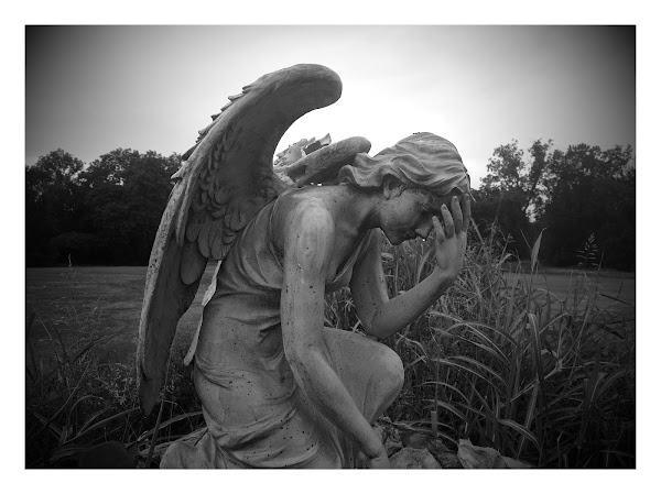 Holy Cross Cemetery grounds